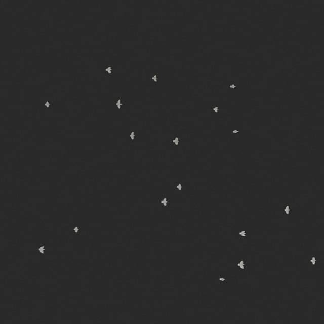 Doves Flock - Overhead - 003