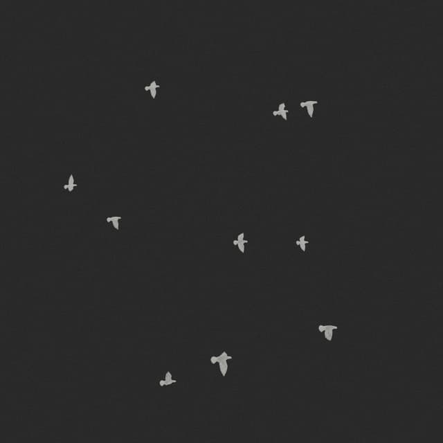 Doves Flock - Static - High Angle - 003