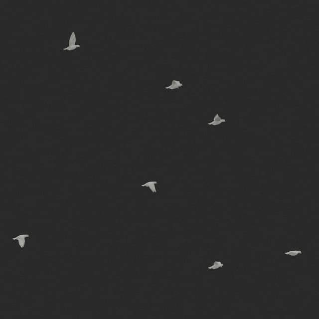 Doves Flock - Static - Horizon - 002
