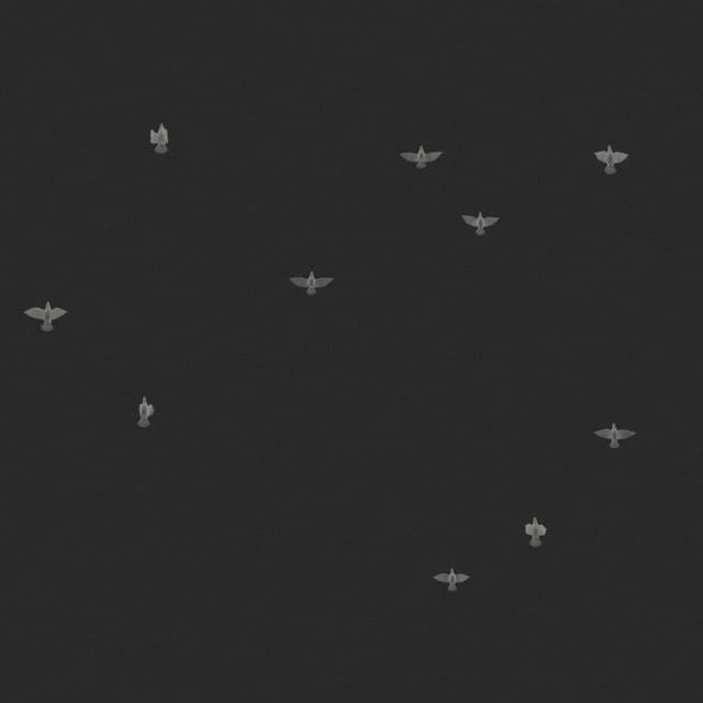 Doves Flock - Static - Low Angle - 003