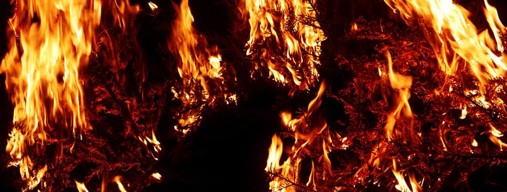 Burning Branches - Pack 1