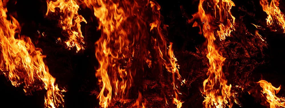 Burning Branches - Pack 3