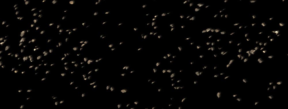 Falling Leaves - Pack 2